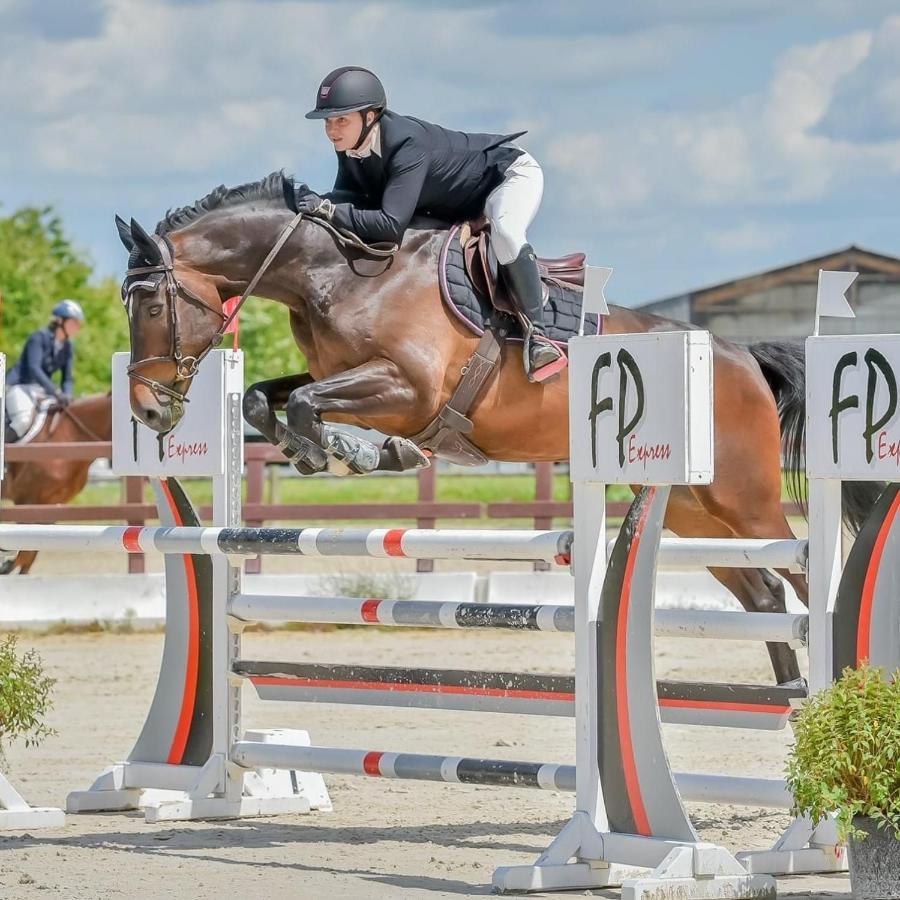 Gite Ecuries Vineuil Jump 6 Personnes Exterior photo